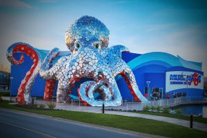Aquarium At The Boardwalk