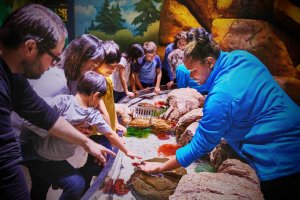 SEA LIFE New Jersey Aquarium