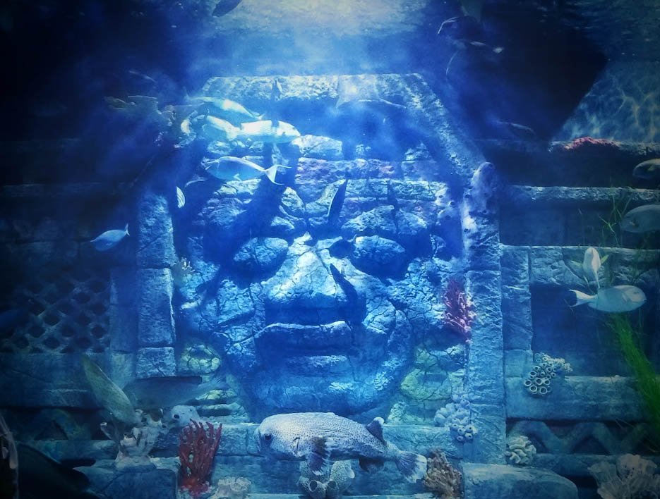 Downtown Aquarium in Texas