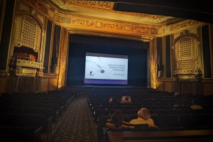 Detroit Film Theatre