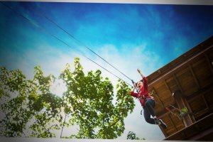 Go Ape Zipline and Adventure Park