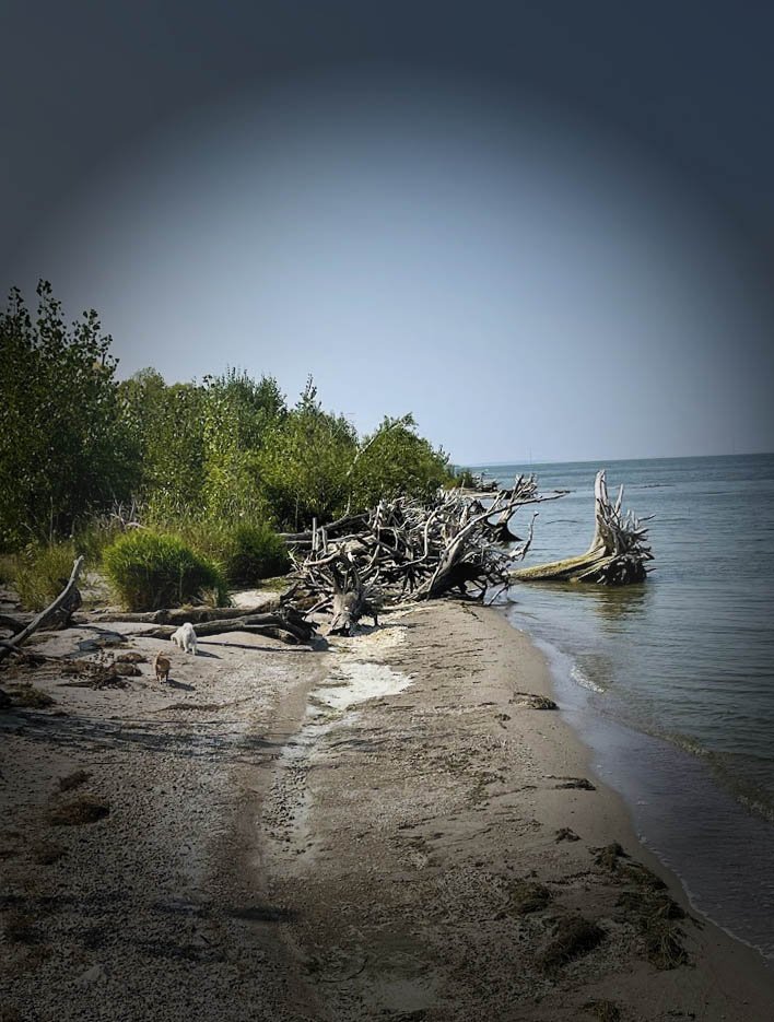 Grahams Island State Park in North Dakota