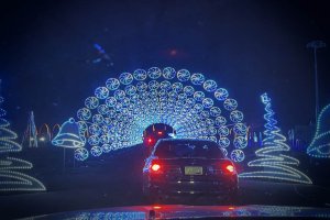 World of Illumination - N. Phoenix