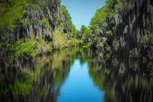 Okefenokee Adventures