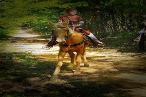 Knott County Trail Ride