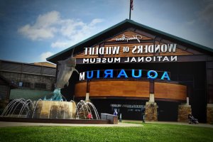 Wonders Of Wildlife National Museum & Aquarium