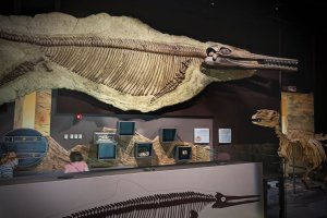 Nevada State Museum, Las Vegas