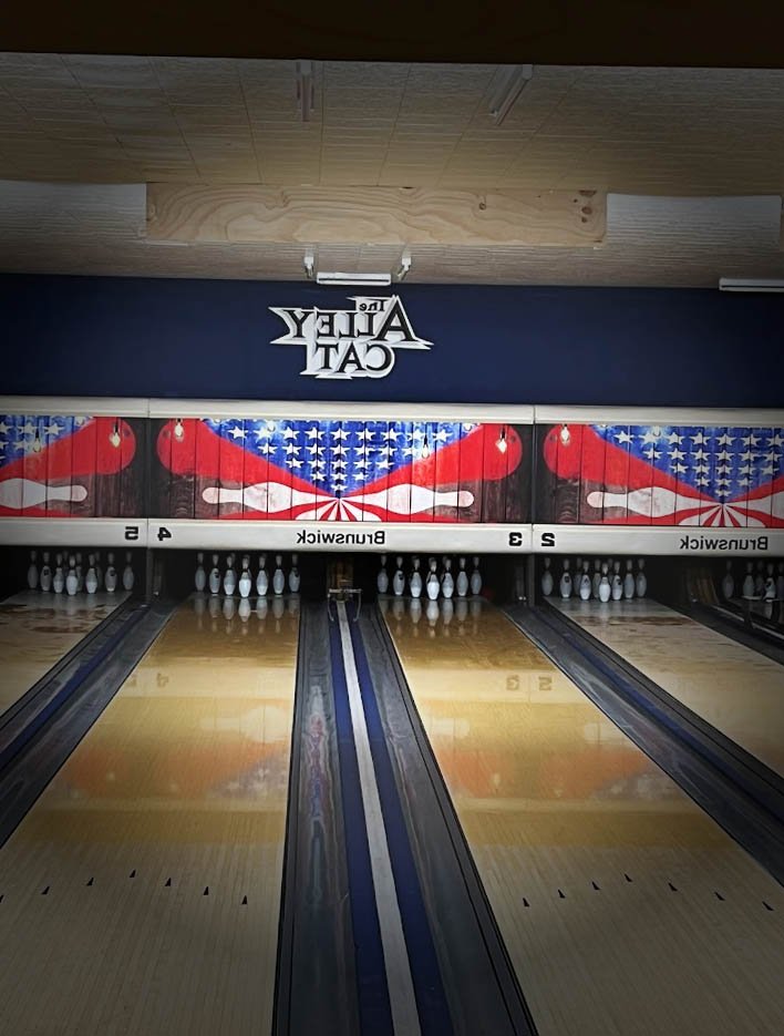 Alley Cat in Montana