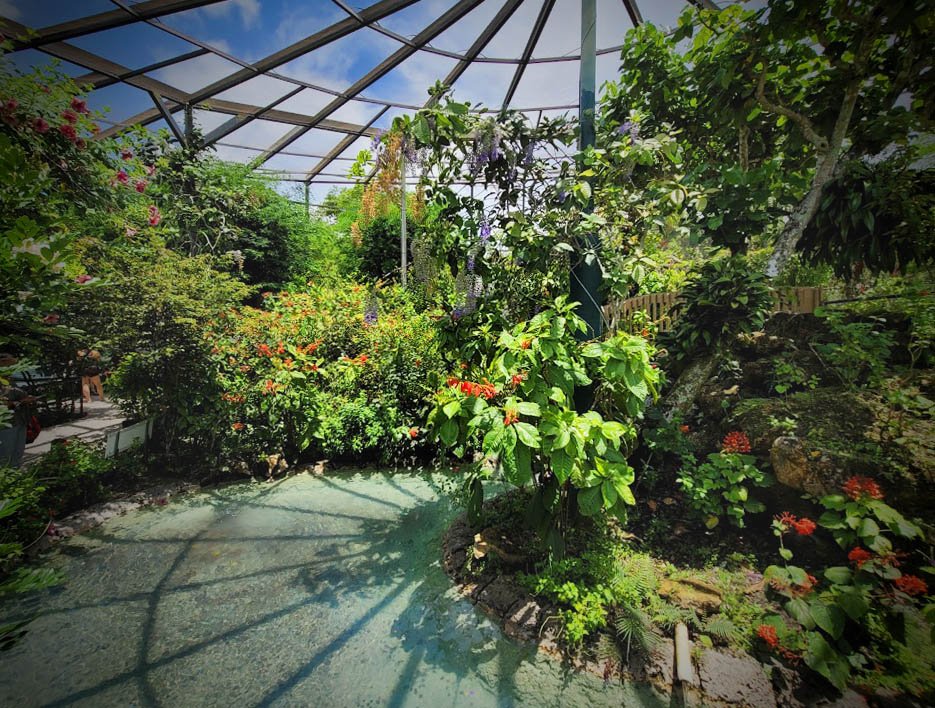 Butterfly World in Florida