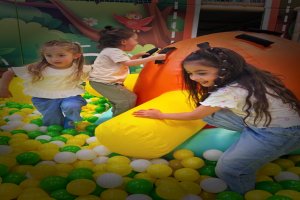 Animal World Play Louisville