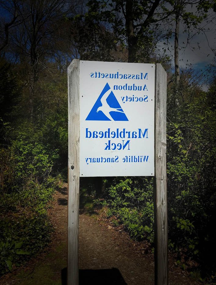 Marblehead Neck Wildlife Sanctuary in Massachusetts