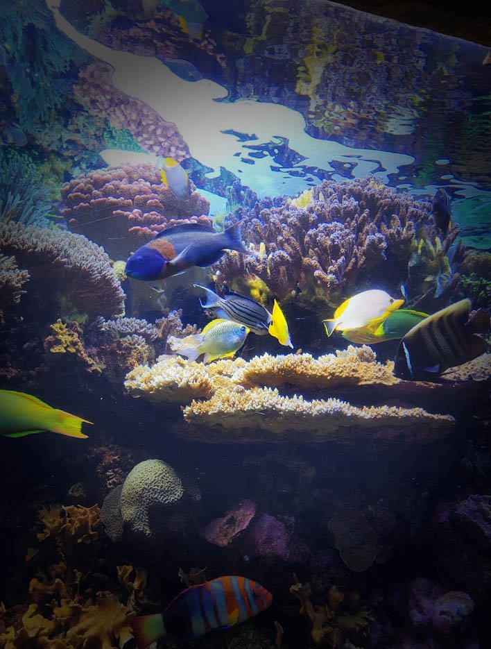 Colorado Ocean Journey in Colorado